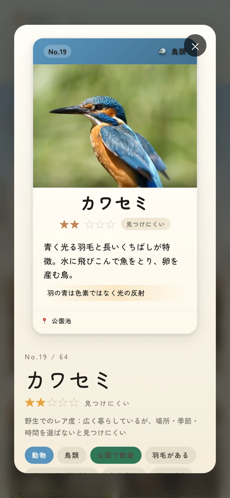 スマートフォンで開いたカワセミのカード詳細画面。野生でのレア度が★で表示されている